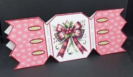 Red snowflake cracker by Diane  Vermeer