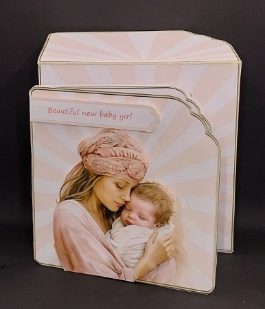 New Baby Girl by Diane  Vermeer