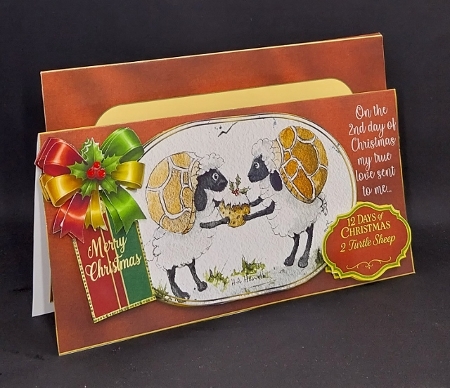 Two Turtle Sheep  by Diane  Vermeer