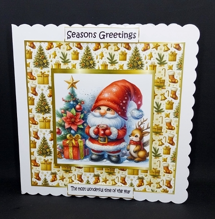 santa splendour  by Diane  Vermeer