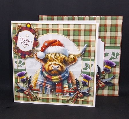 A Highland Greeting by Diane  Vermeer