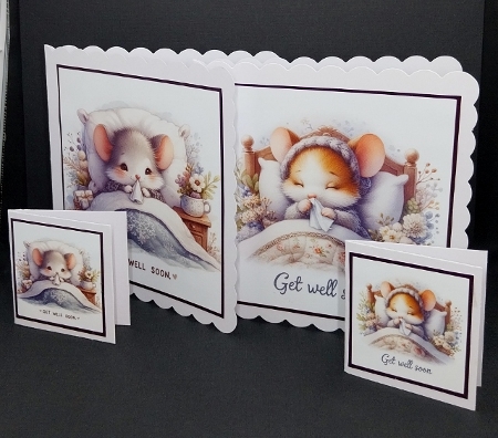 Get well x 2 by Diane  Vermeer