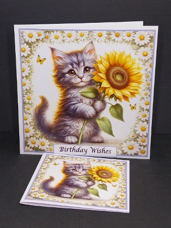 Cuteness by Diane  Vermeer