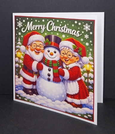 a special couple mr and mrs clause by Diane  Vermeer