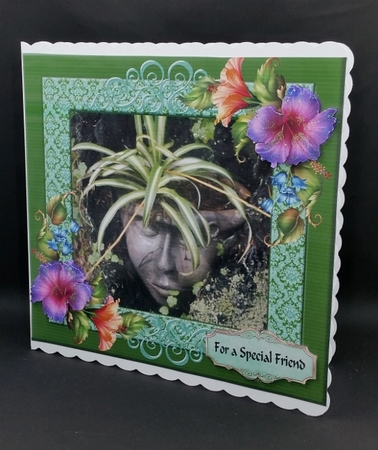 Bad Hair Day by Diane  Vermeer