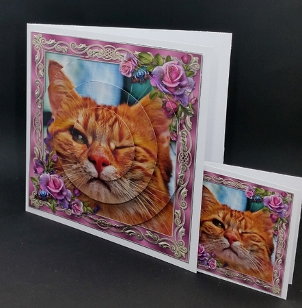 Cute Funny Cat Circle Pyramid by Diane  Vermeer