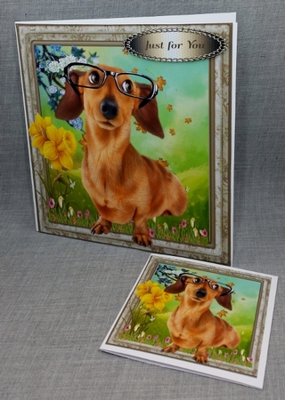 I am a Very Intelligent Dog  by Diane  Vermeer