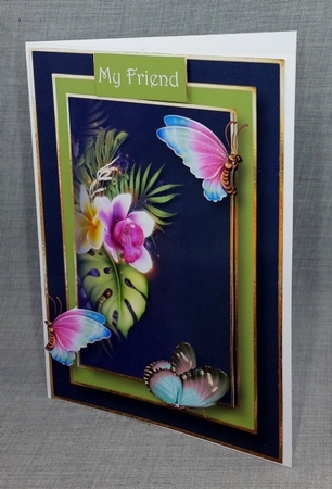 Tropical Butterflies by Diane  Vermeer