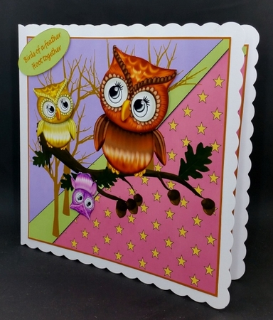 have a hoot by Diane  Vermeer