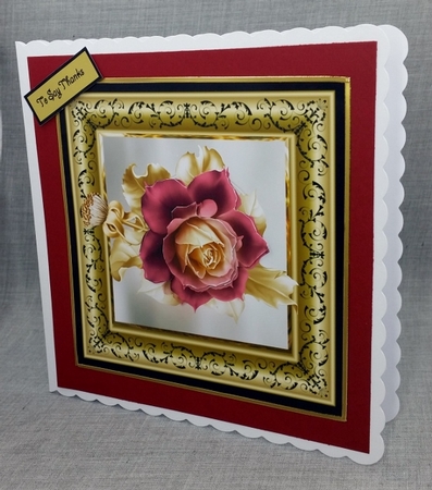 A Pink rose by Diane  Vermeer