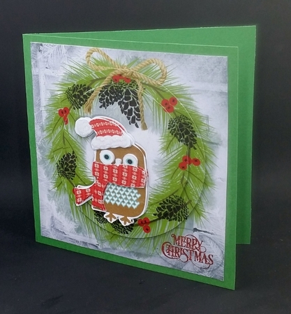 Owl be warm for Christmas by Diane  Vermeer