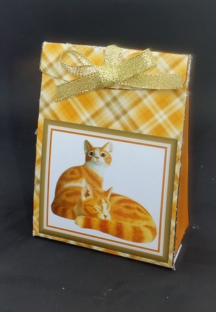 JJ GINGER CATS PINCH BAG AND TAG by Diane  Vermeer