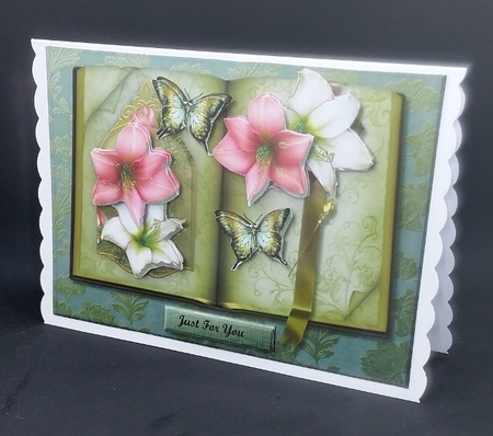 Classic Vintage Book by Diane  Vermeer