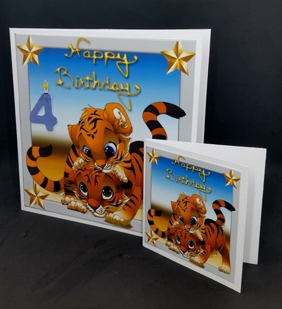 Twin Tigers Birthday (ages 1-5) by Diane  Vermeer