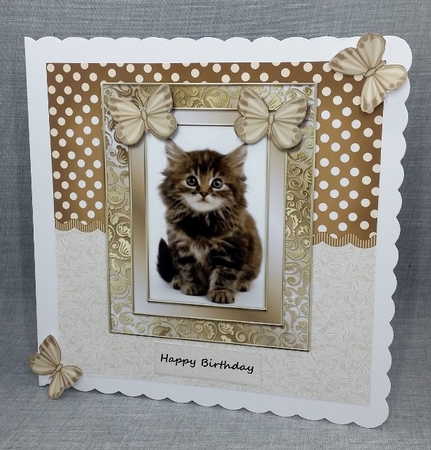 Purrrfect Birthday Cute Kitten by Diane  Vermeer
