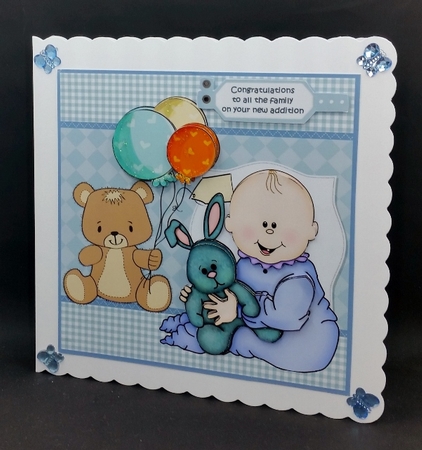 Its a boy by Diane  Vermeer