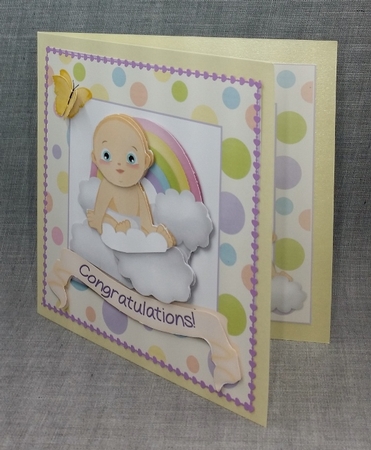 Rainbow Baby  by Diane  Vermeer