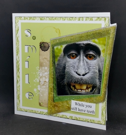 Smile ....while you still have teeth by Diane  Vermeer