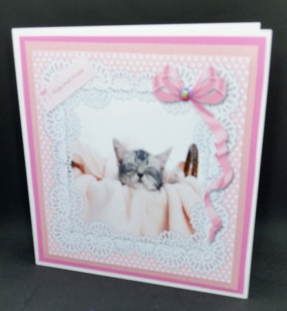 Cute Sleeping Kitten  by Diane  Vermeer