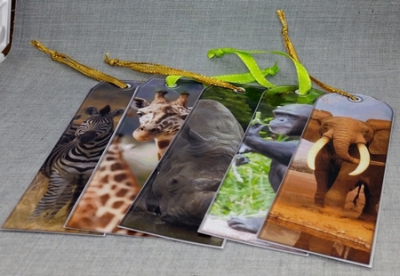 JJ ASSORTED BOOKMARKS AFRICAN ANIMALS by Diane  Vermeer