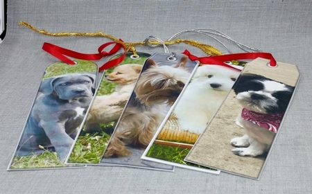JJ ASSORTED BOOKMARKS PUPPIES by Diane  Vermeer