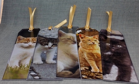 JJ ASSORTED BOOKMARKS KITTENS by Diane  Vermeer