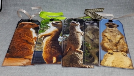 JJ ASSORTED BOOKMARKS MEERKATS by Diane  Vermeer
