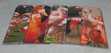 JJ ASSORTED BOOKMARKS FLAMINGOS by Diane  Vermeer