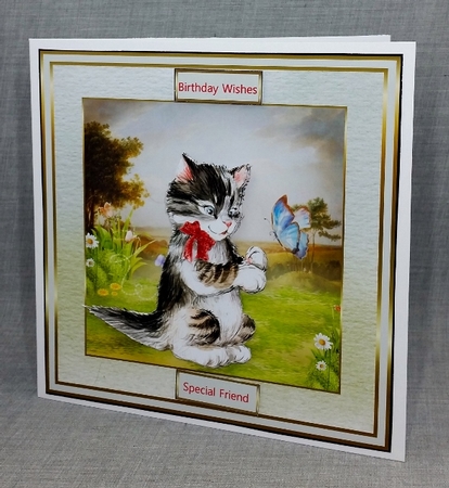The cat and the butterfly by Diane  Vermeer
