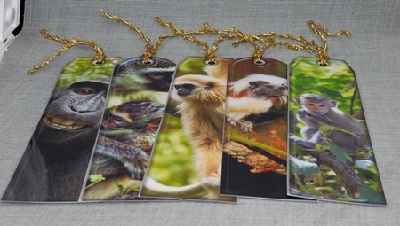 JJ ASSORTED BOOKMARKS MONKEYS by Diane  Vermeer