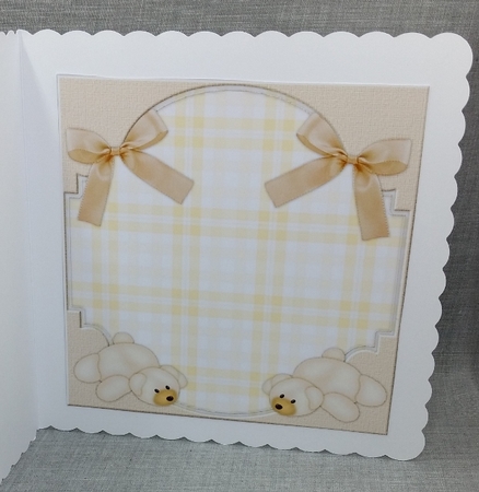 New baby Boy & Girl INSERT by Diane  Vermeer