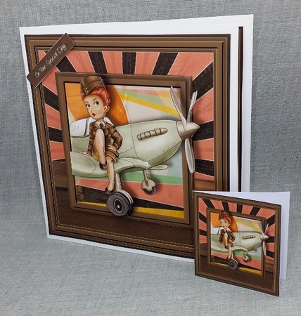 Female Pilot Mini Kit by Diane  Vermeer