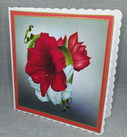 Amaryllis Quick Card Floral Card Topper by Diane  Vermeer