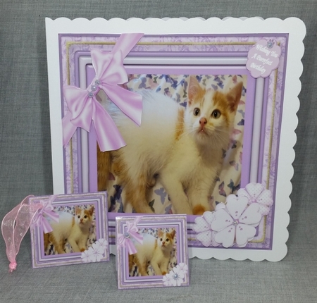 Handsome Casper 8x8 by Diane  Vermeer