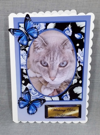 sweet little blue eyes by Diane  Vermeer