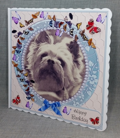 SEPIA YORKIE WATCHING BUTTERFLIES MULTI SENTIMENT GET WELL BIRTHDAY BEST WISHES by Diane  Vermeer