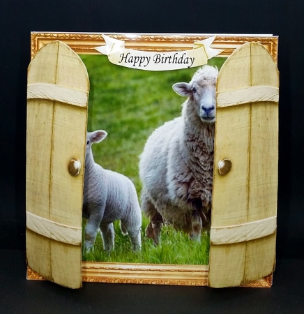 THROUGH GARDEN GATES  MULTI USE GET WELL BIRTHDAY ETC 6x6 DOWN ON THE FARM 2 by Diane  Vermeer