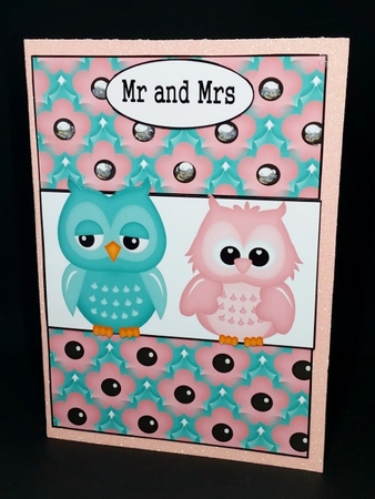 Mr and Mrs by Diane  Vermeer