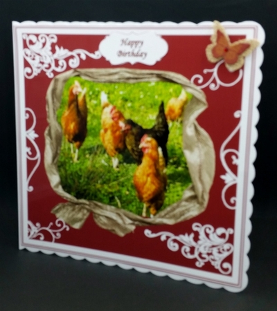 CHICKENS MULTI SENTIMENTS by Diane  Vermeer