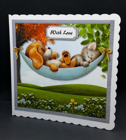 Cute dog and cat in hammock by Diane  Vermeer