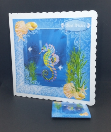 Beautiful Seahorse by Diane  Vermeer