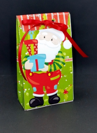 Bright Santa Pinch Bag 1 by Diane  Vermeer
