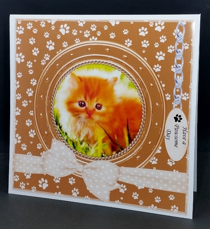 KITTEN 1 THANK YOU AND VARIOUS OTHER SENTIMENTS by Diane  Vermeer