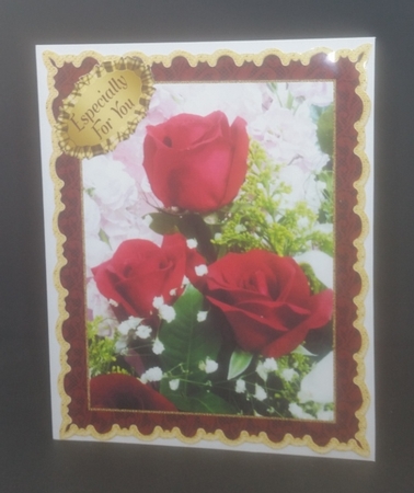 Roses For You by Diane  Vermeer