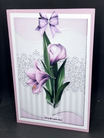 Sympathy Amaryllis by Diane  Vermeer