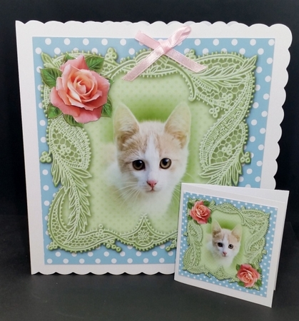 Cute Kitten Quick card by Diane  Vermeer