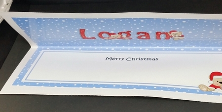 Large DL Merry Christmas LOGAN insert by Diane  Vermeer