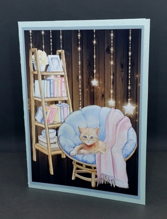 5x7 THE LIBRARY CAT  by Diane  Vermeer
