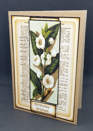 flower panel two by Diane  Vermeer