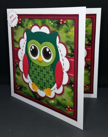 Gorgeous Christmas Owl 8x8 by Diane  Vermeer